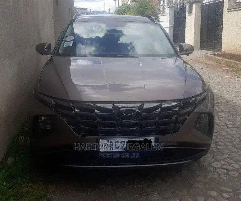 Hyundai Tucson 2023 Brown
