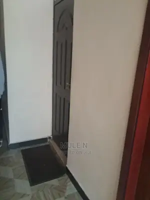 Furnished 2bdrm Condo in አባዶ ኮንደሚኒየም, Yeka for sale