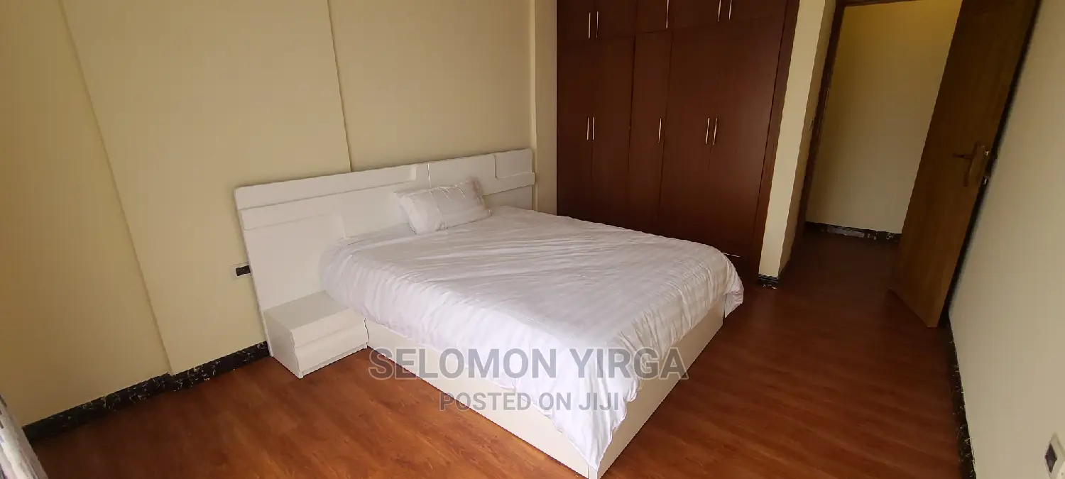 Furnished 3bdrm Apartment in Adids Abba, Yeka for rent