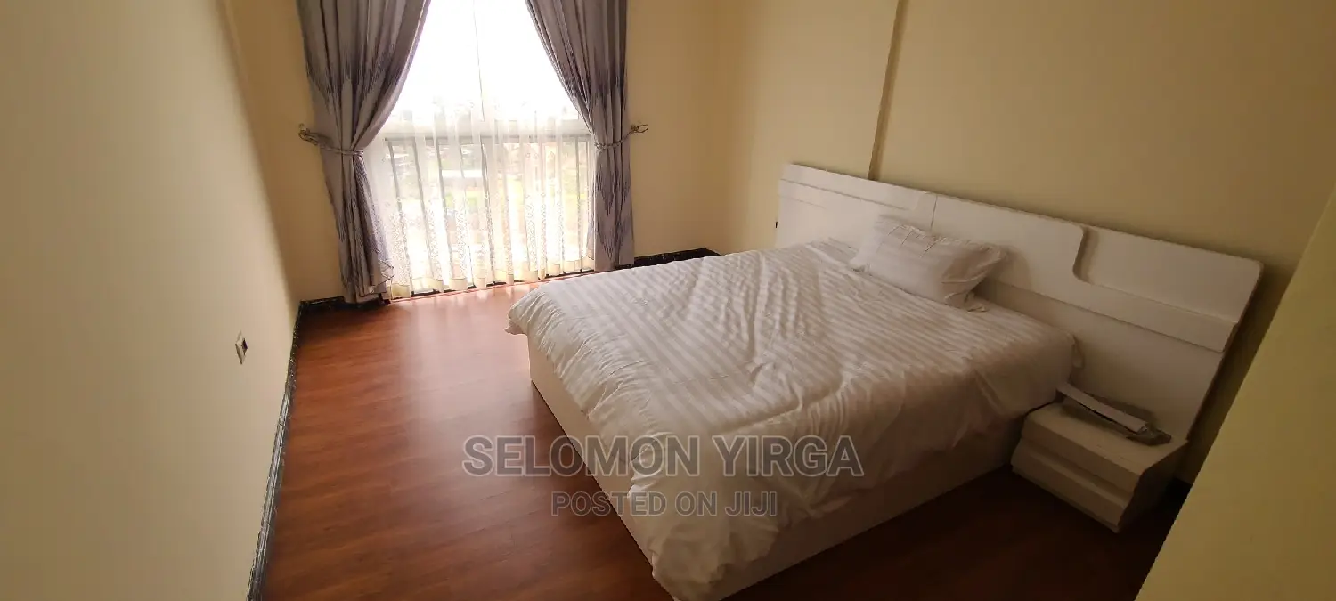 Furnished 3bdrm Apartment in Adids Abba, Yeka for rent