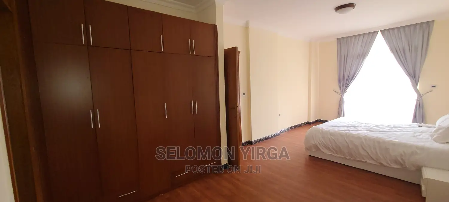 Furnished 3bdrm Apartment in Adids Abba, Yeka for rent