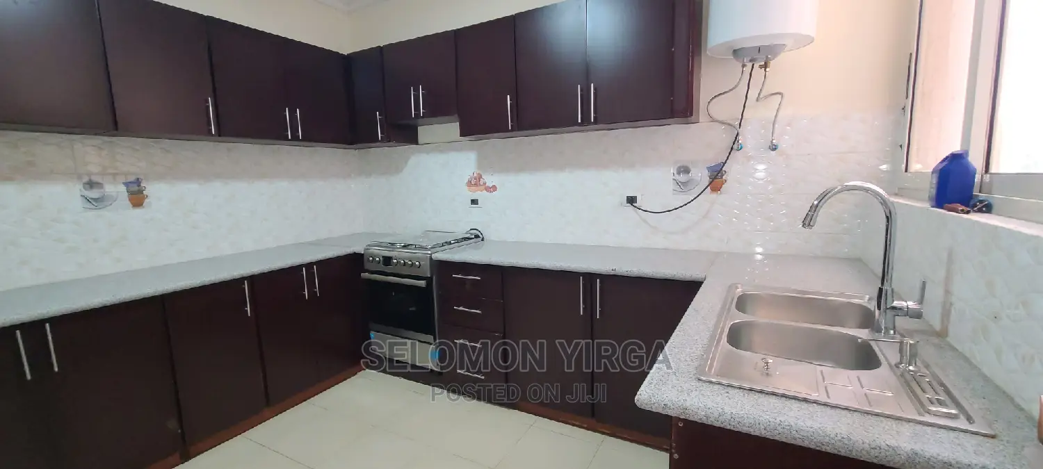 Furnished 3bdrm Apartment in Adids Abba, Yeka for rent