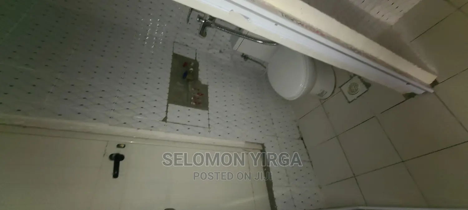 2bdrm Apartment in Adids Abab, Bole for rent