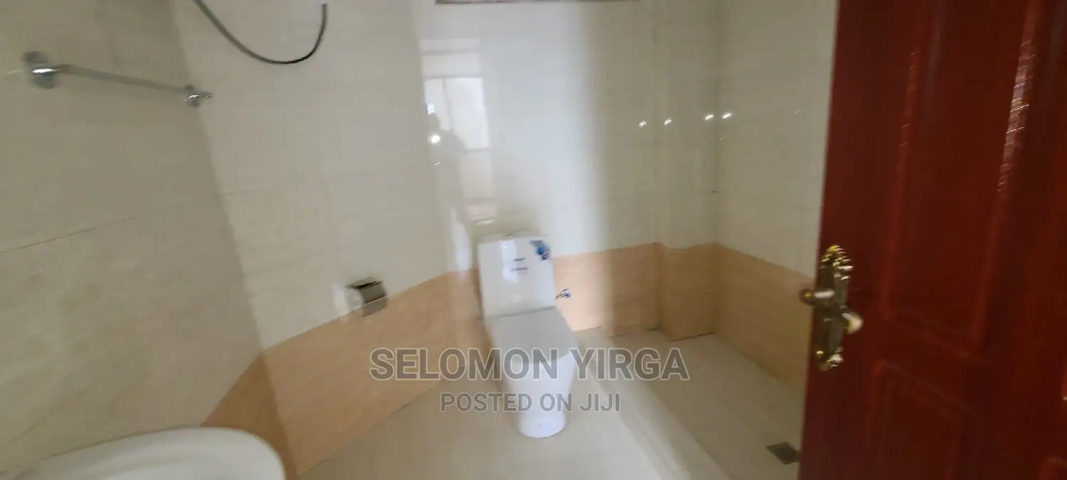Furnished 3bdrm Apartment in Adids Abab, Bole for rent