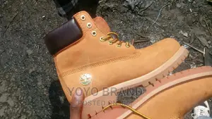 Photo - Orginal Timber Land