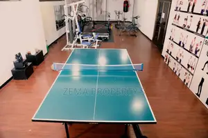 Furnished Apartment for Rent ,Around Bole Milenium, 1600 $