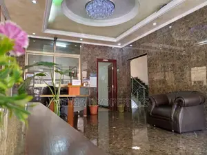 Furnished Apartment for Rent ,Around Bole Milenium, 1600 $