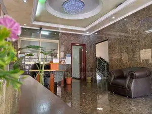 Furnished Apartment for Rent ,Around Bole Milenium, 1600 $