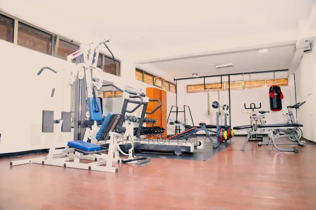 Furnished Apartment for Rent ,Around Bole Milenium, 1600 $