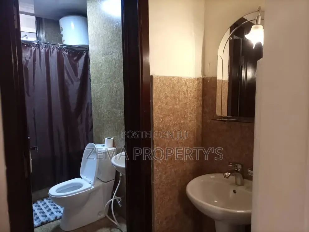 Furnished Apartment for Rent ,Around Bole Milenium, 1600 $