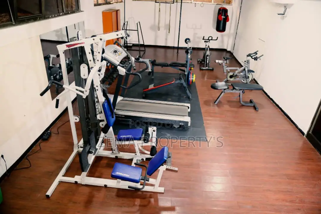 Furnished Apartment for Rent ,Around Bole Milenium, 1600 $