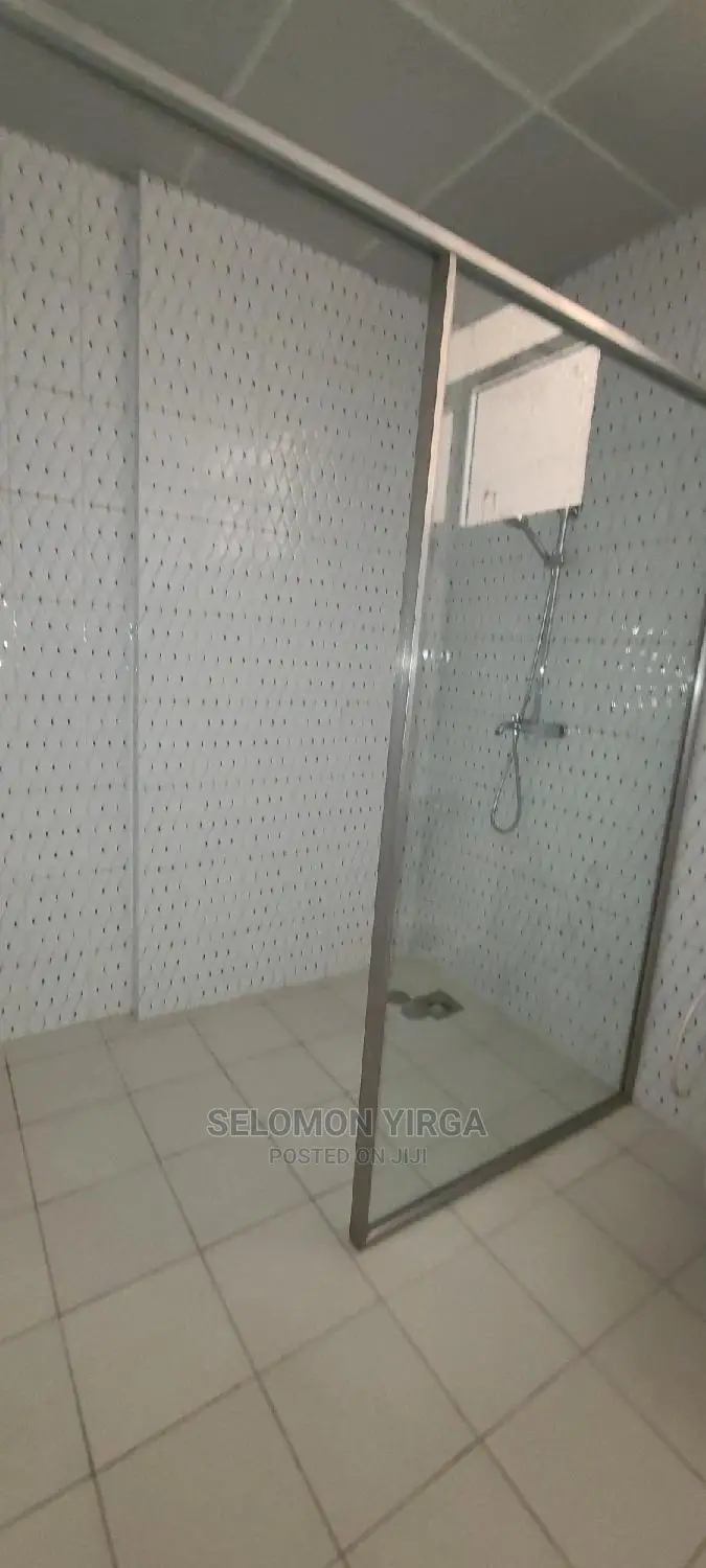 Furnished 3bdrm Apartment in Adids Abba, Yeka for rent