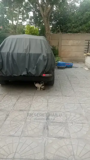 Furnished 5bdrm House in Bole Michael for rent