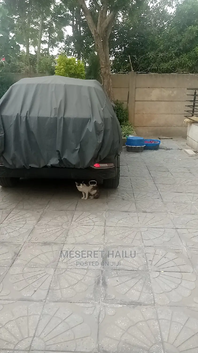 Furnished 5bdrm House in Bole Michael for rent