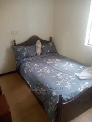 Furnished 5bdrm House in Bole Michael for rent