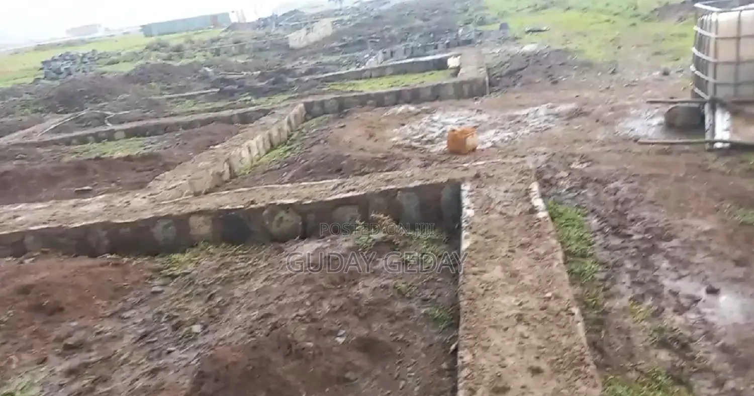 መሰረት የወጣ Yemehaber Bota Keniteri Gara Bolo Sheger Admi