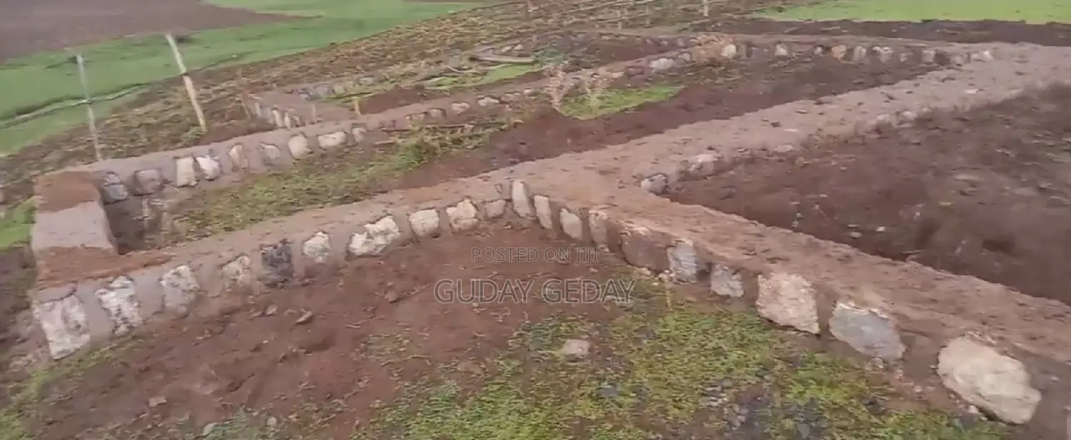 መሰረት የወጣ Yemehaber Bota Keniteri Gara Bolo Sheger Admi