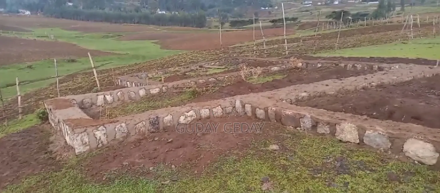 መሰረት የወጣ Yemehaber Bota Keniteri Gara Bolo Sheger Admi