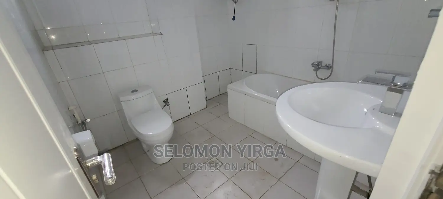 2bdrm Apartment in Adids Abba, Bole for rent