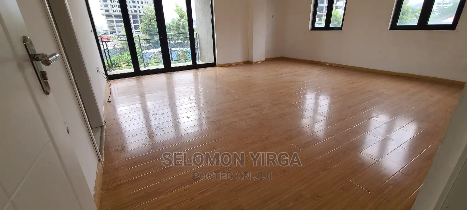 2bdrm Apartment in Adids Abba, Bole for rent