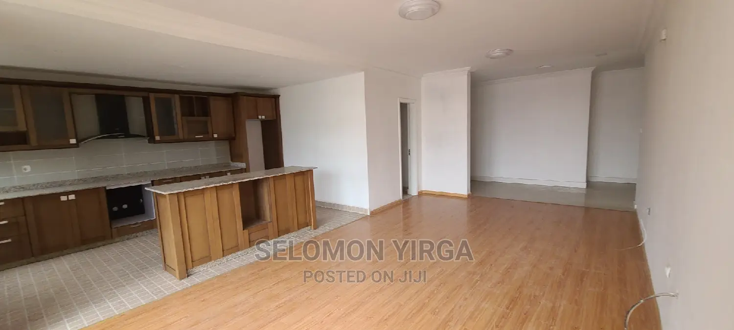 2bdrm Apartment in Adids Abba, Bole for rent