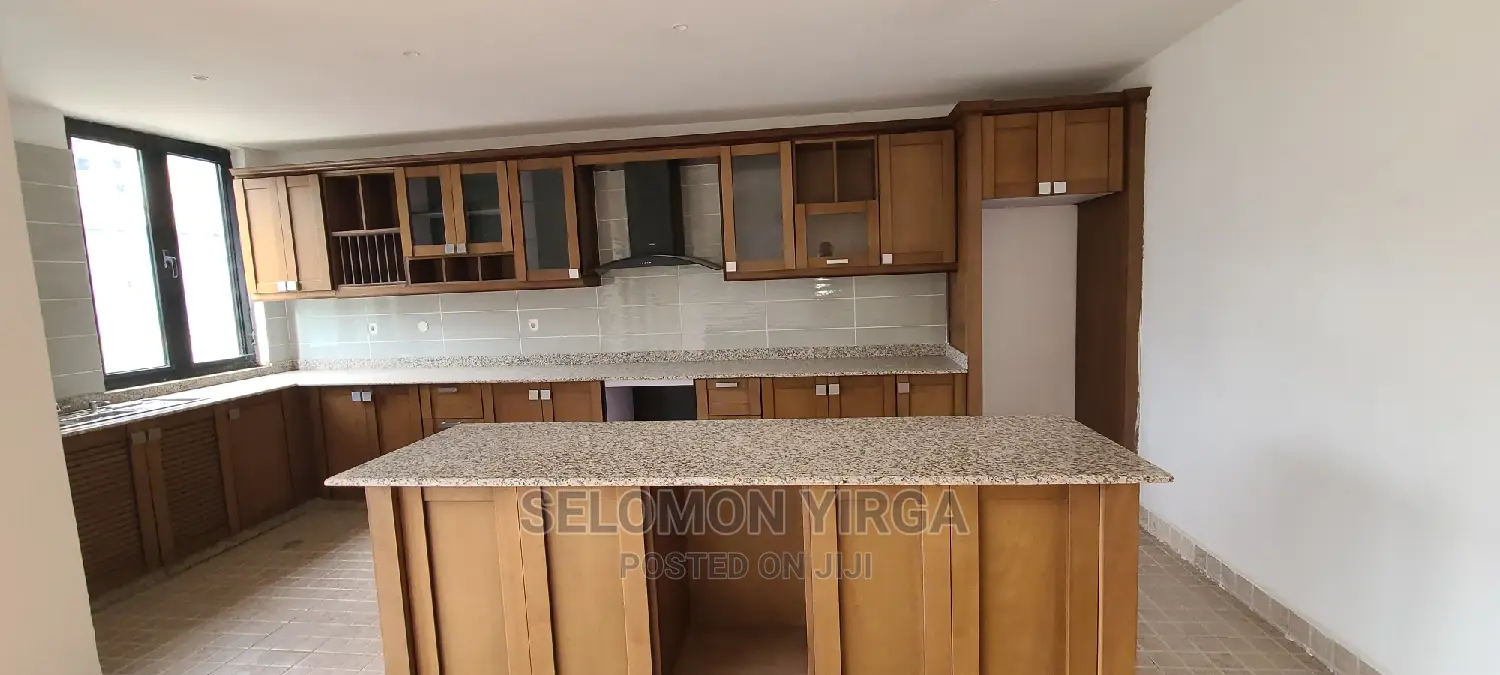 2bdrm Apartment in Adids Abba, Bole for rent