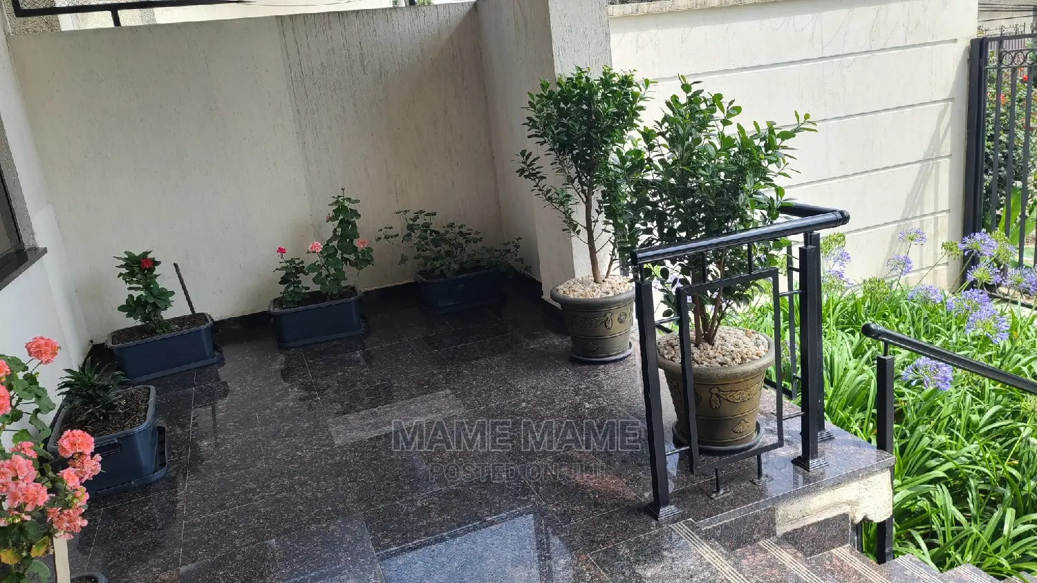 Furnished 1bdrm Apartment in Addis Abeba, Bole for rent