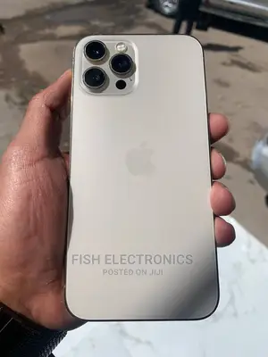 Apple iPhone 12 Pro Max 256 GB Gold