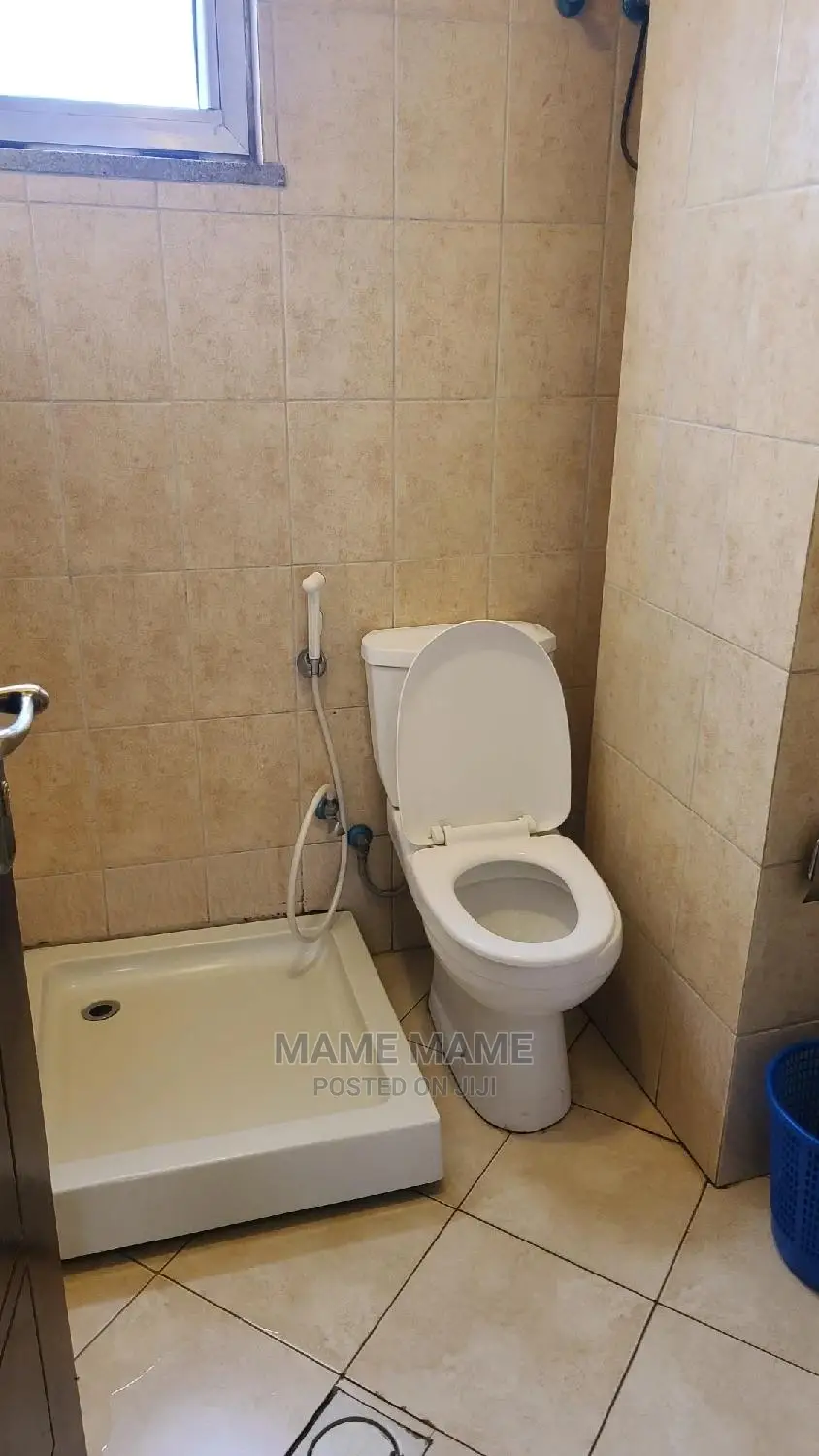Furnished 3bdrm Apartment in Addis Abeba, Bole for rent