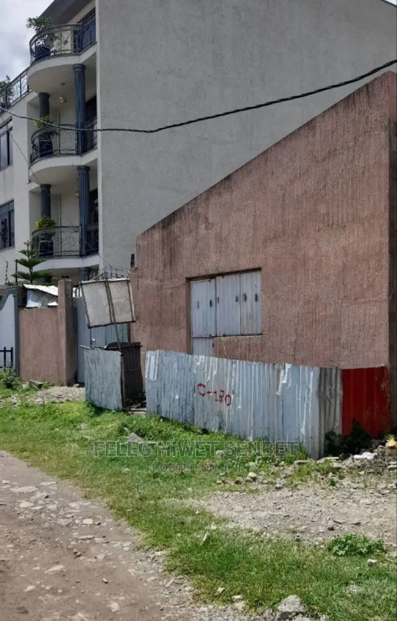 የሚሸጥ ሚያኖር ኤል ሼፕ ያለው ቦታ