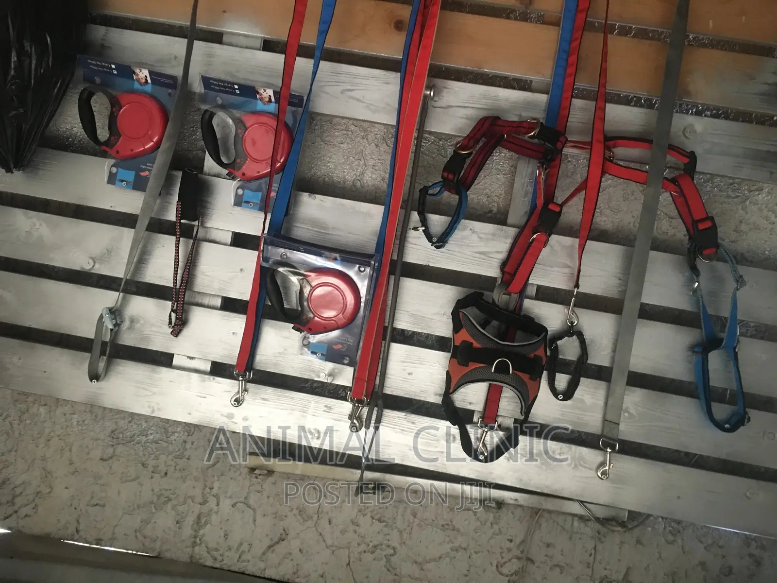 የእንስሳት ህክምና