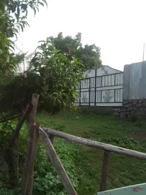 3bdrm House in Bole for sale