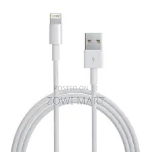 Apple Lightning to USB Cable