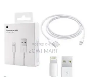 Apple Lightning to USB Cable