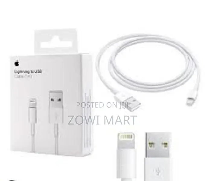 Apple Lightning to USB Cable