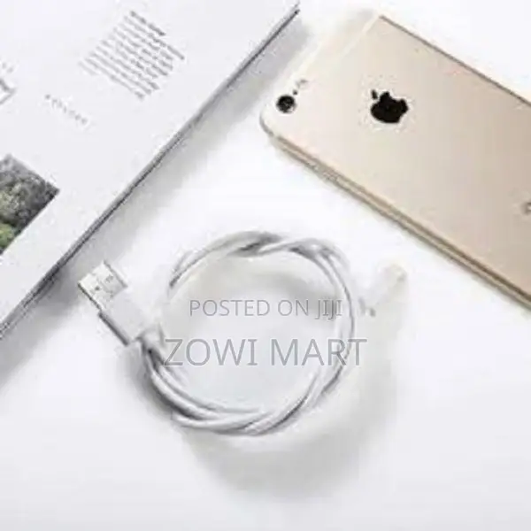 Apple Lightning to USB Cable