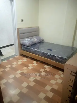 Furnished 2bdrm Apartment in Bole Bolbula for rent