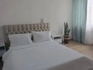 Furnished 3bdrm Apartment in 22 Axum, Bole for rent