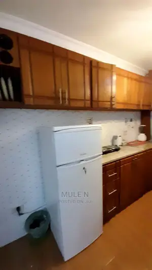 Furnished 1bdrm Condo in Abado Condominium, Yeka for sale