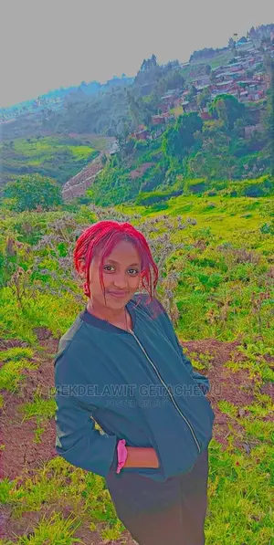 Photo - Van Salesperson