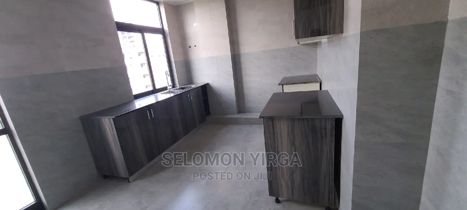 Furnished 4bdrm Penthouse in Adids Abba, Bole for rent