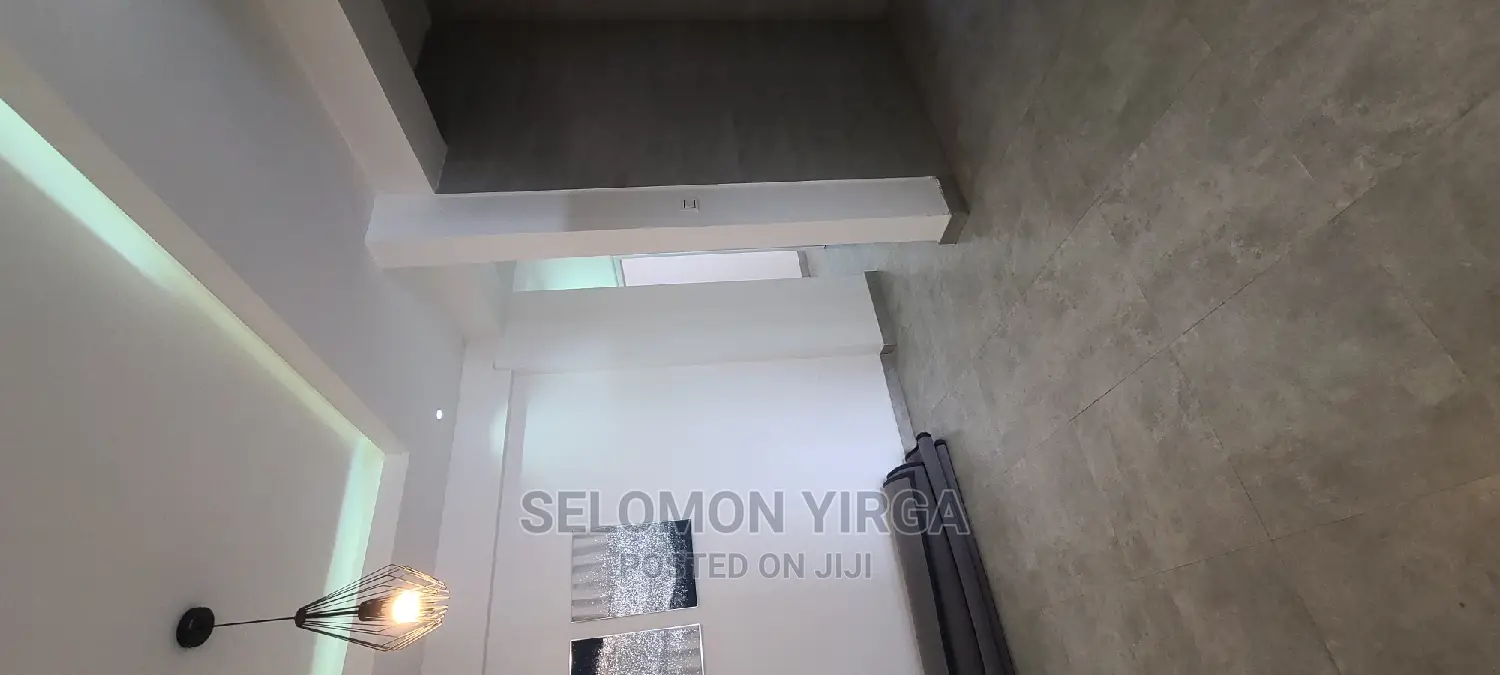 Furnished 4bdrm Penthouse in Adids Abba, Bole for rent