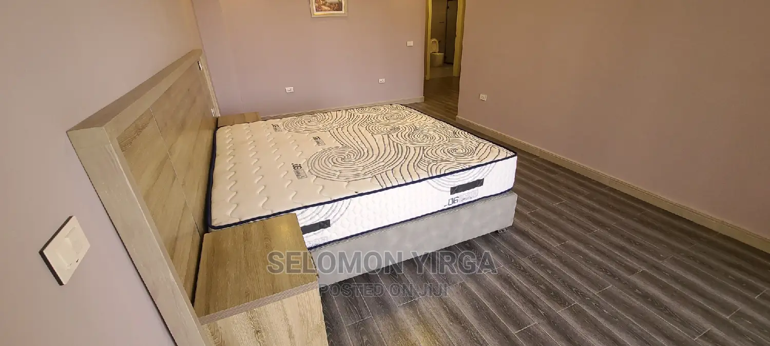 Furnished 3bdrm Apartment in Adids Abba, Bole for rent