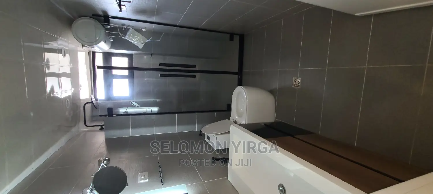 Furnished 3bdrm Apartment in Adids Abba, Bole for rent