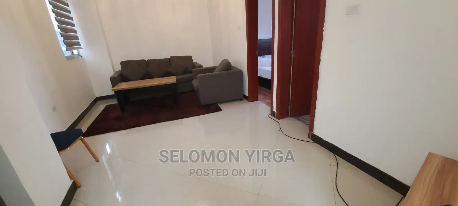 Furnished 1bdrm Apartment in አድስ አበባ, Bole for rent