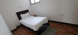 Furnished 3bdrm Apartment in Adids Abba, Bole for rent