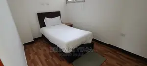 Furnished 3bdrm Apartment in Adids Abba, Bole for rent