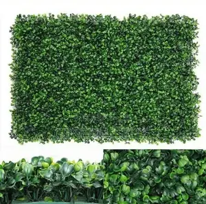 Greenery for Decor Interior Design