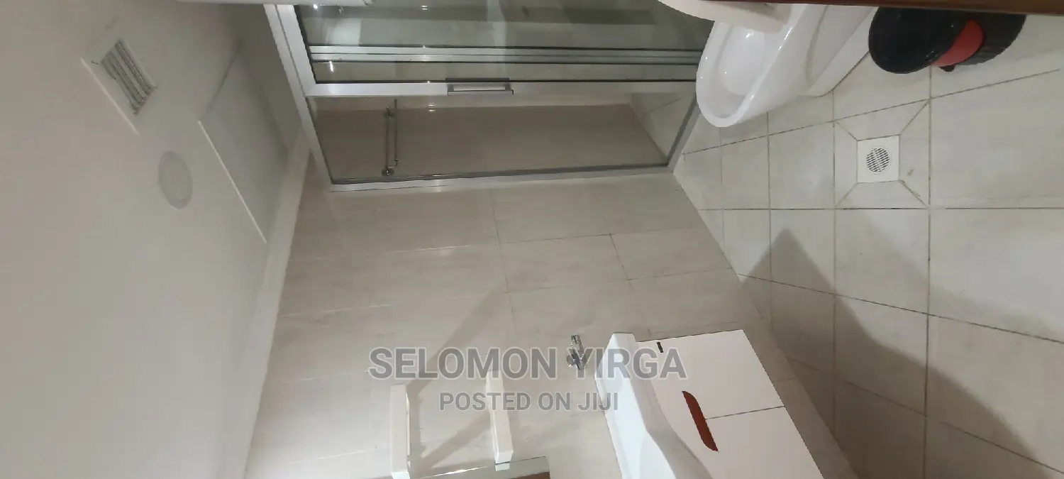 Furnished 4bdrm Apartment in Adids Abba, Bole for rent