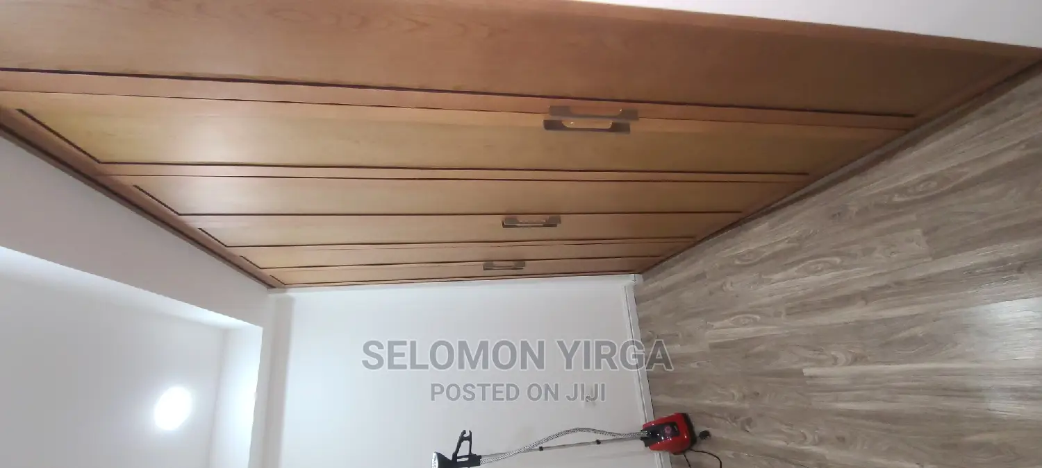 Furnished 4bdrm Apartment in Adids Abba, Bole for rent